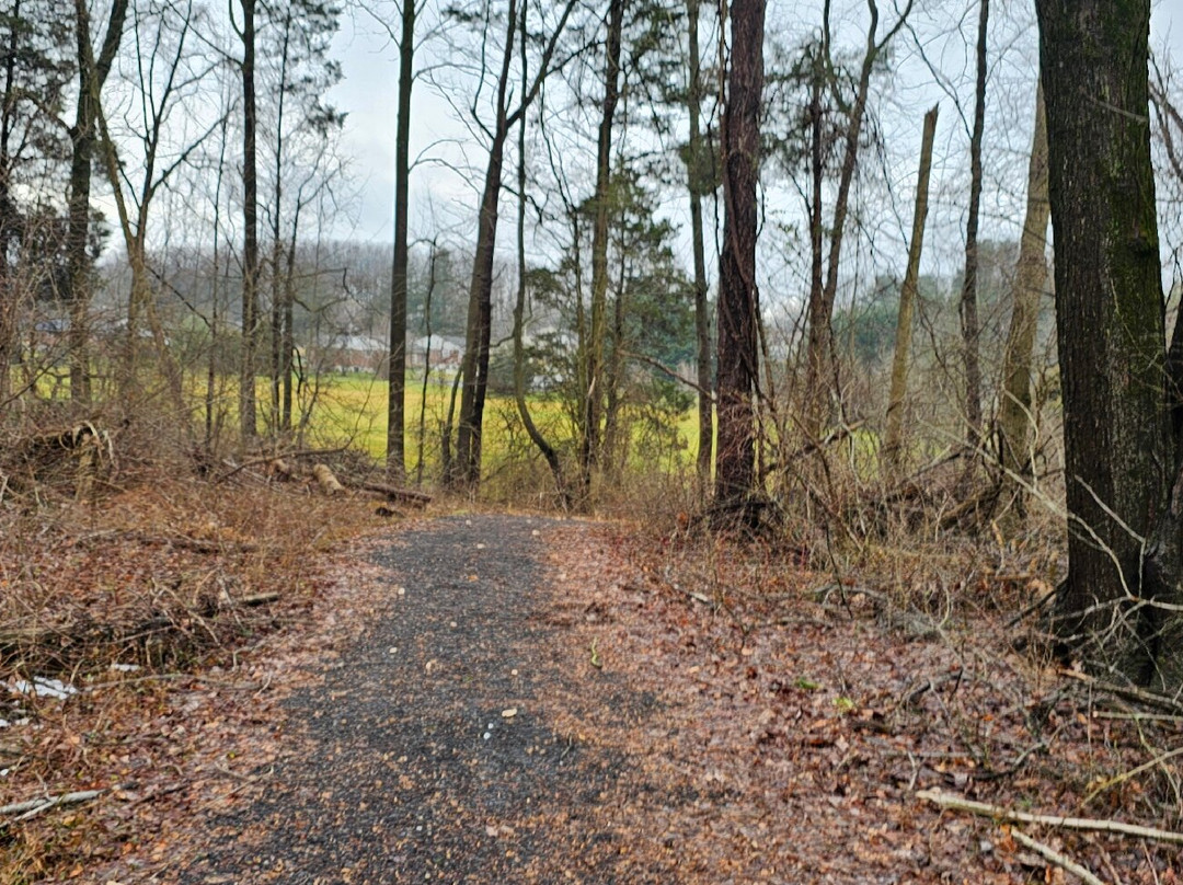 Prospect Mill Park-Bel Air必去景点