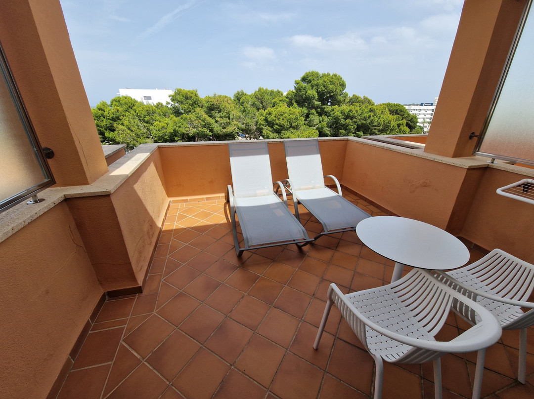 Hipotels Hipocampo Palace主图