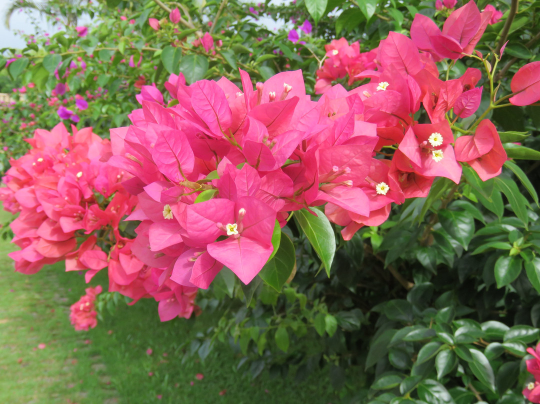 Hotel Pousada da Lagoa主图