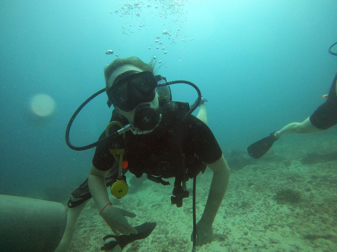 Gili Island Diving Center景点图片