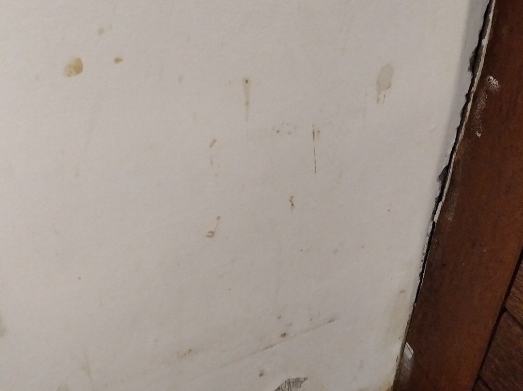 Paraiso Cottage主图