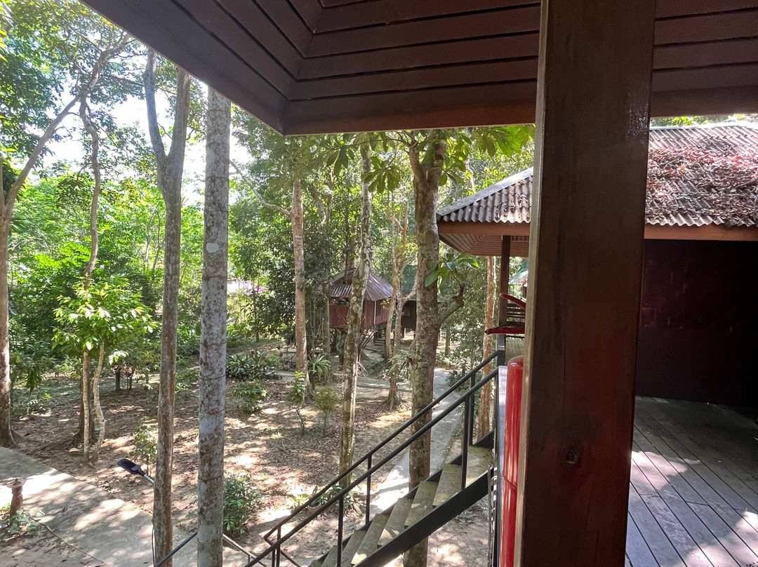 考索自然度假村主图