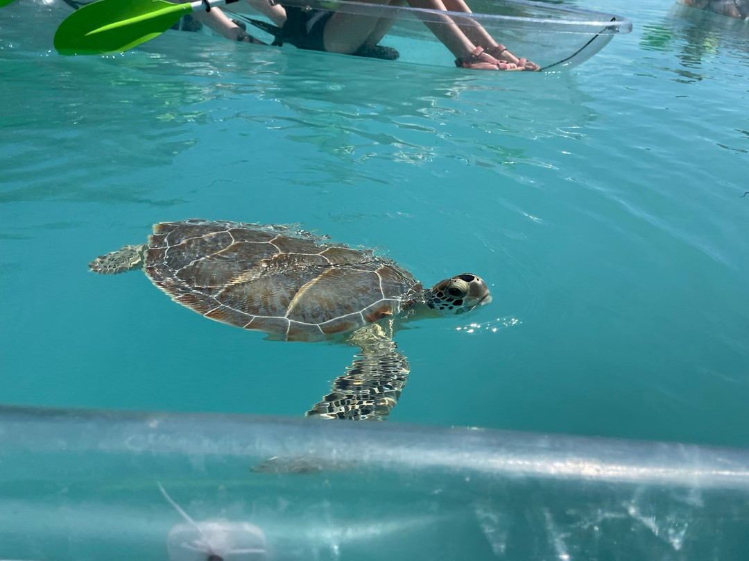 Turks Ventures by Drex-普罗维登西亚莱斯必去景点