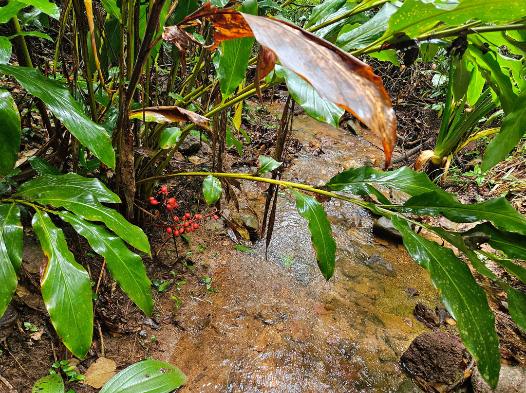 Escorrega Macaco Waterfall-Palmas必去景点