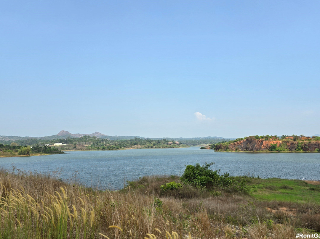 Dam Adventure Park & Garden景点图片