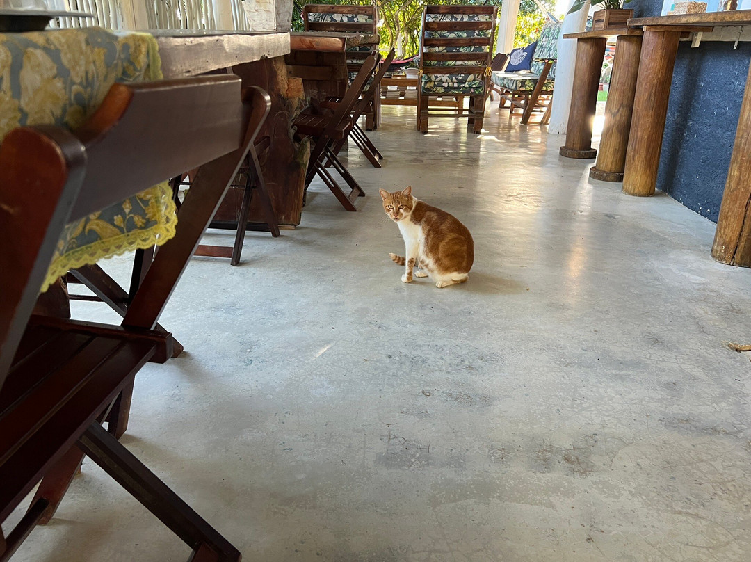 Pousada Casa da Praia主图