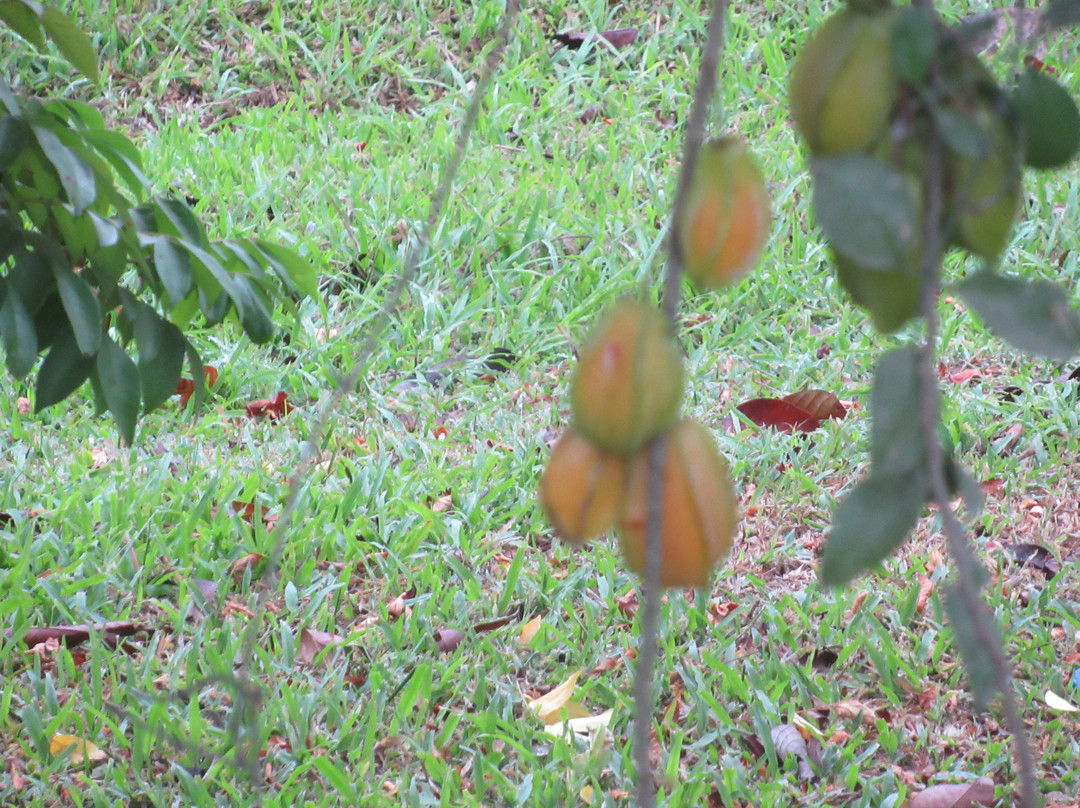 Tilajari Hotel Resort and Conference Center主图