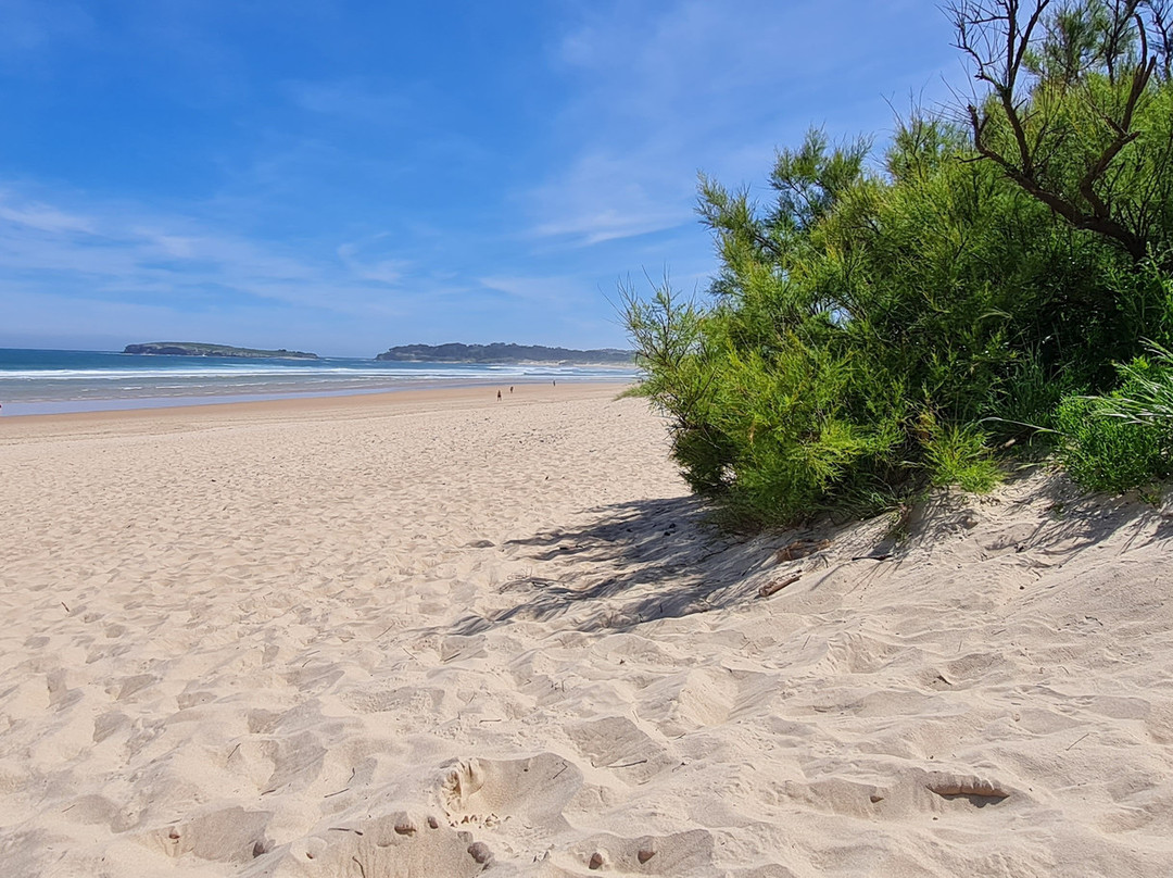 帕西拉温泉别墅公寓主图