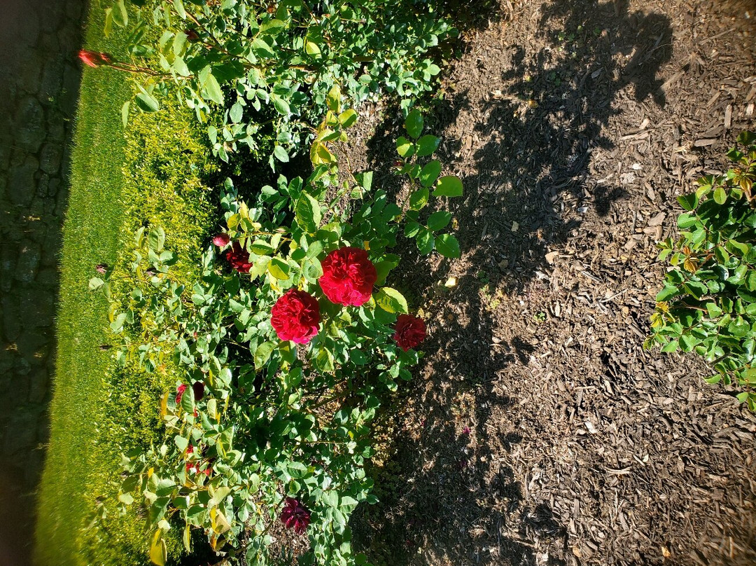 Deep Cut Gardens景点图片