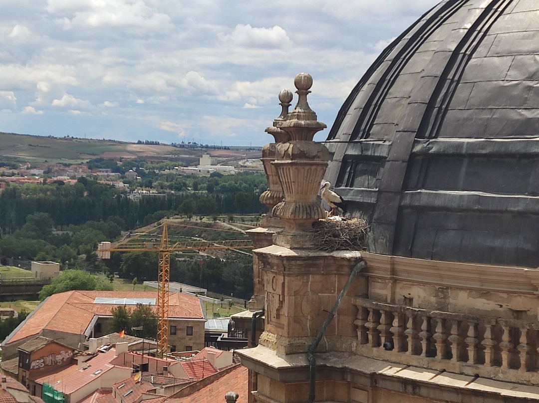 Scala Coeli Torres de la Clerecia景点图片