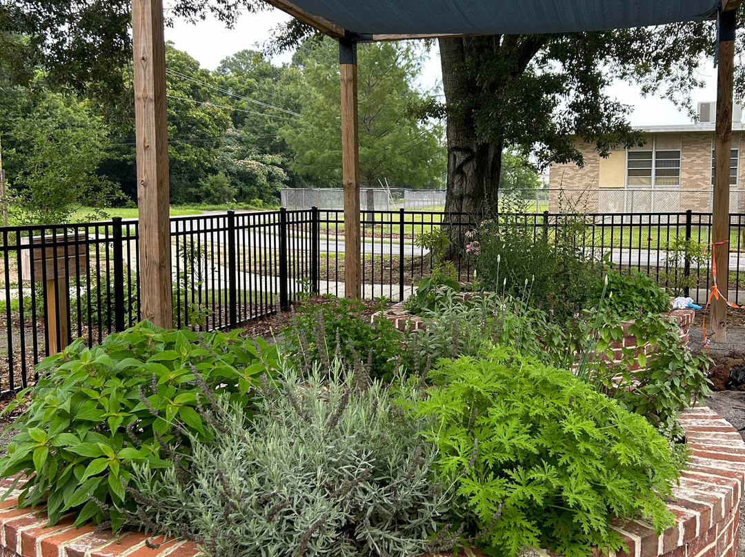 Africatown Heritage House-莫比尔必去景点