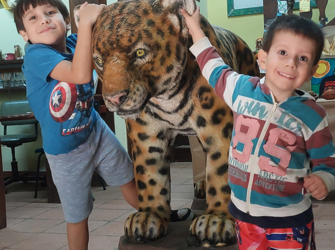 Parque Ecologico do Tiete-圣保罗必去景点