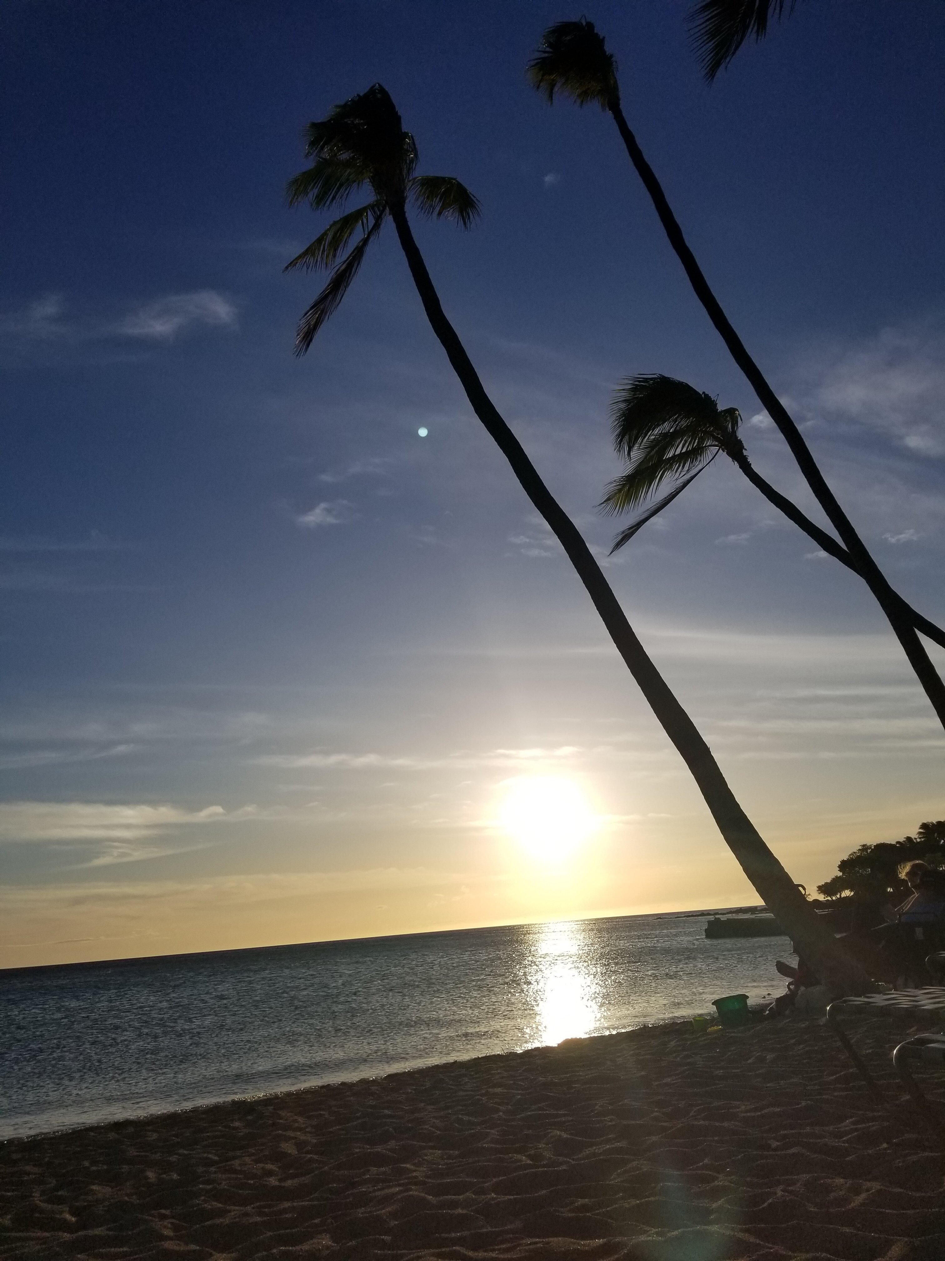 Marriott's Waikoloa Ocean Club-泳池