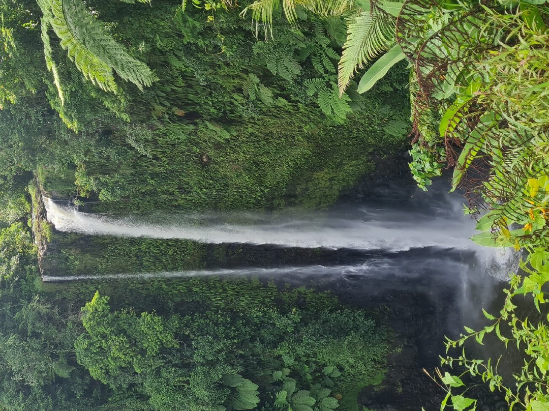 Fuipisia Waterfall-Upolu必去景点