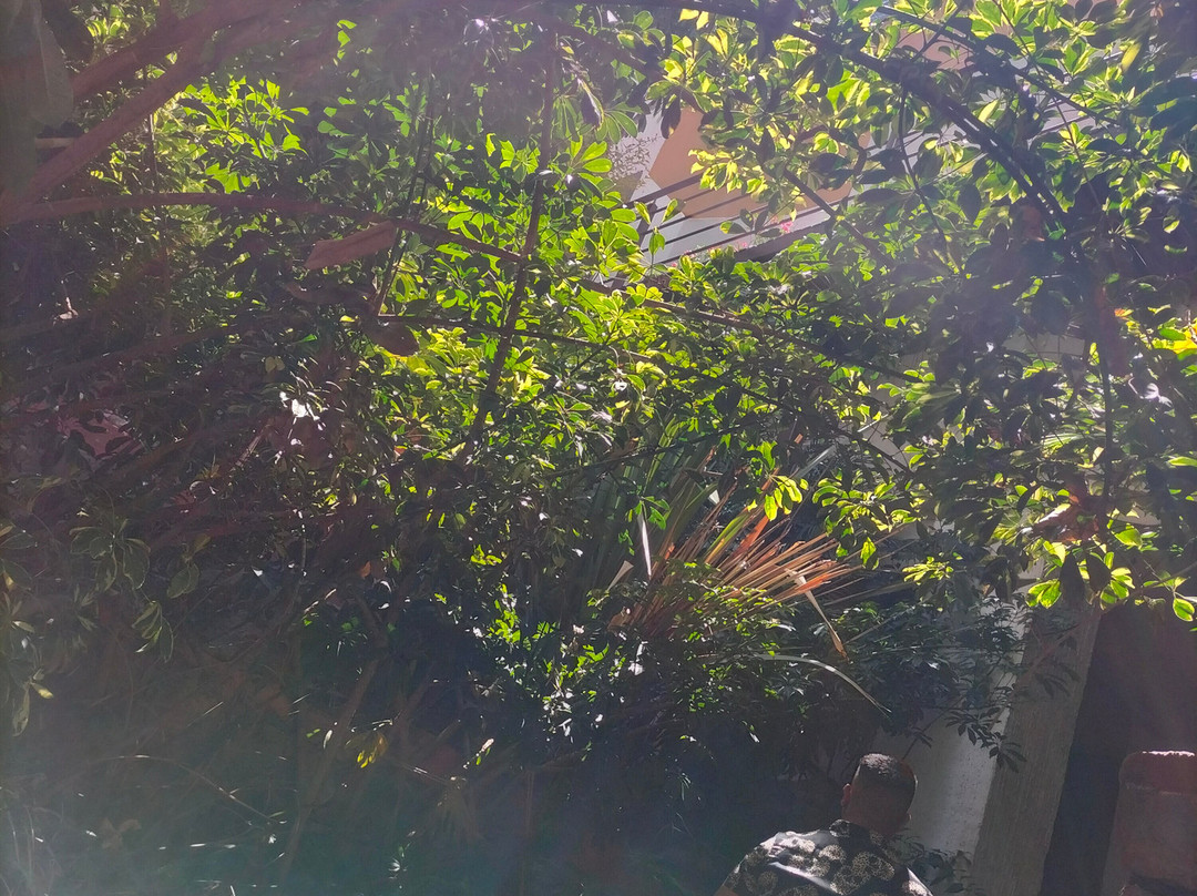 Hotel 1988 Guanajuato主图