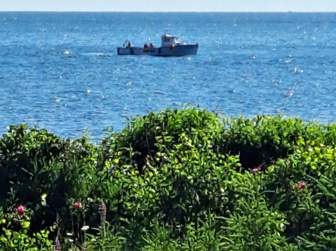 Gite Toutes Saisons Bed & Breakfast主图