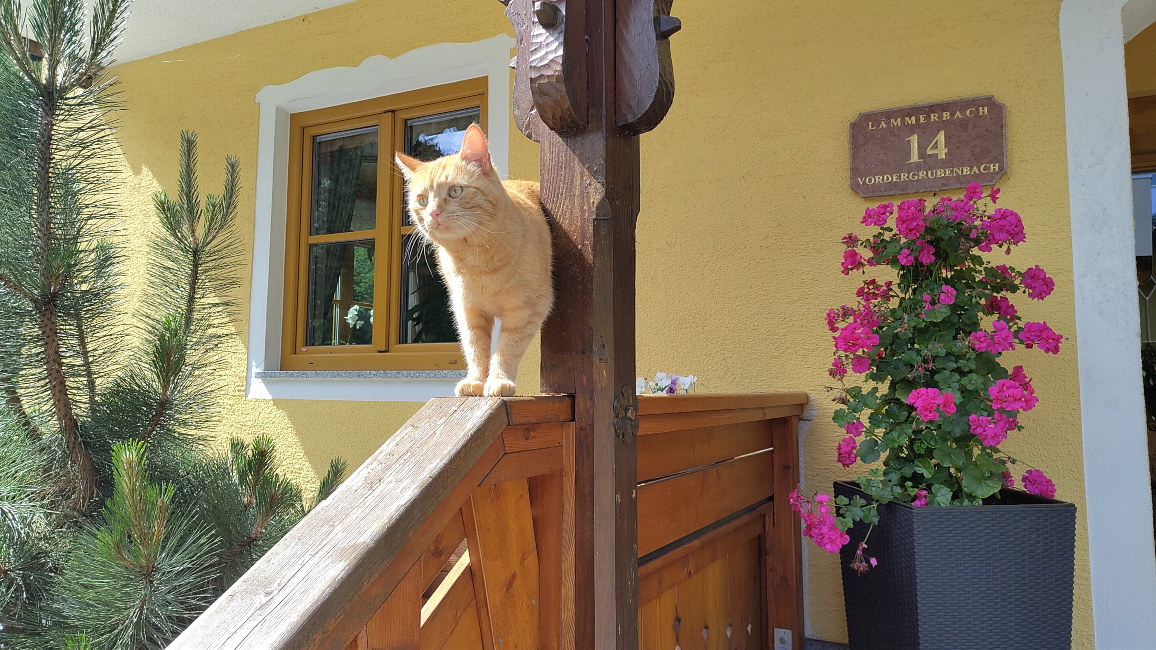 Bauernhof Haus Oberascher-官方