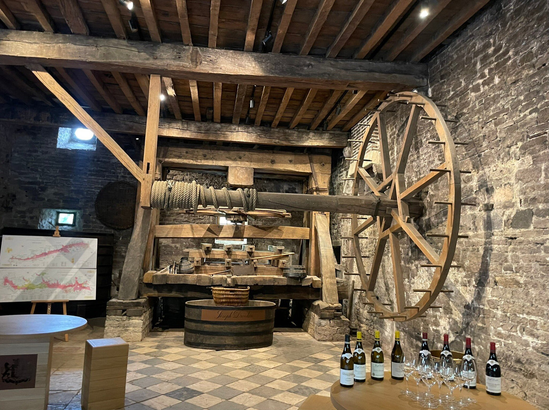 Maison Joseph Drouhin-博讷必去景点