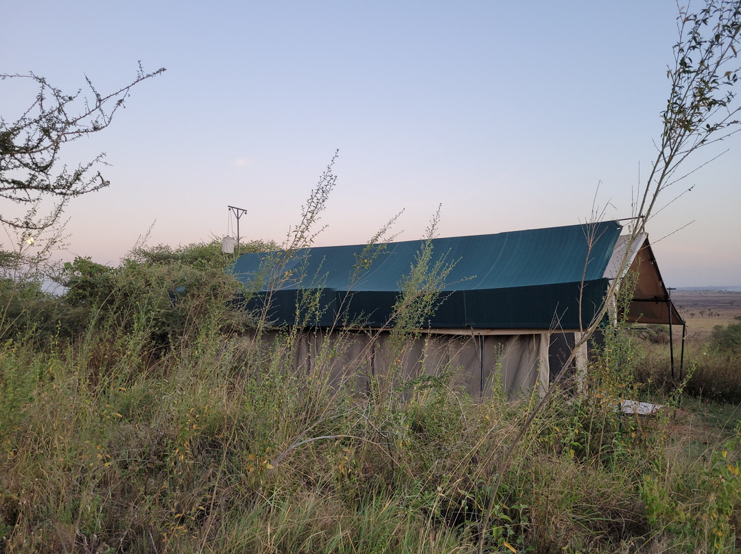 Nyikani Camp - Central Serengeti主图