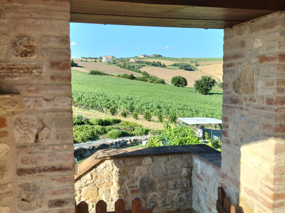 Agriturismo San Silvestro主图