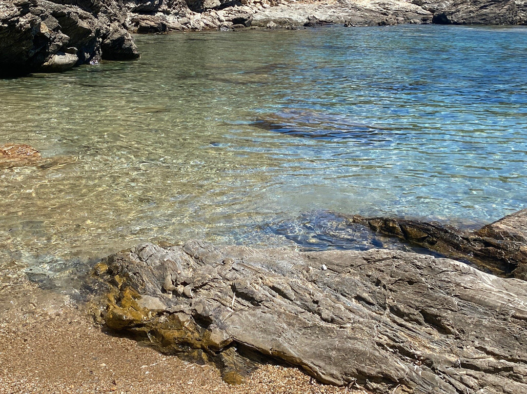 Spiaggia di Felciaio景点图片