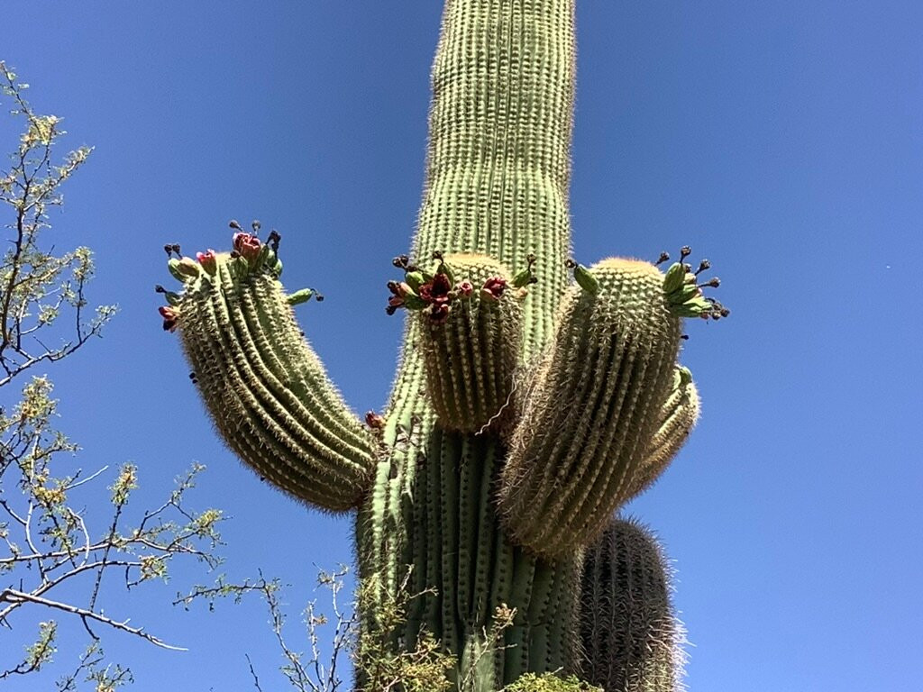 Gates Pass-图森必去景点