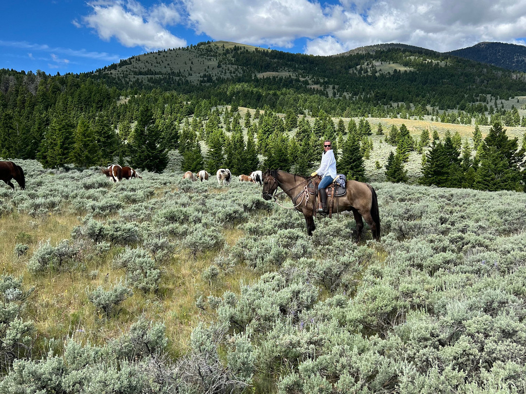 Silver Spur Ranch Idaho景点图片