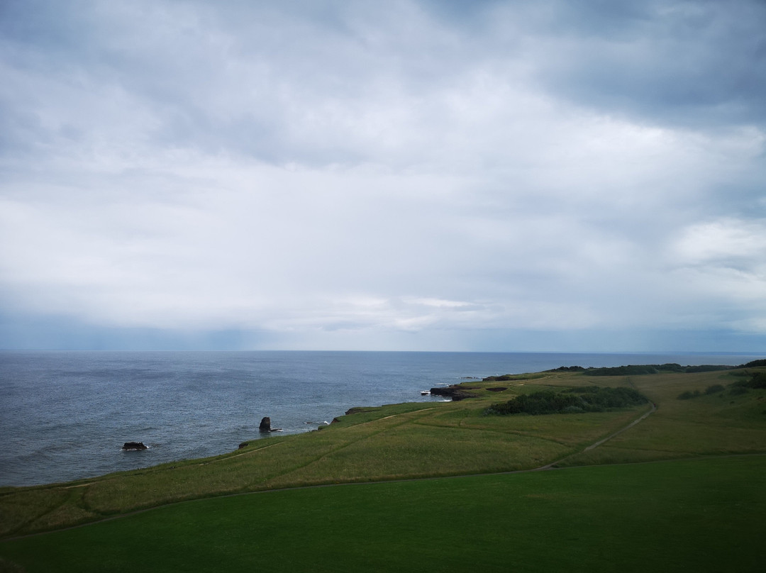 Souter Lighthouse and The Leas-桑德兰必去景点