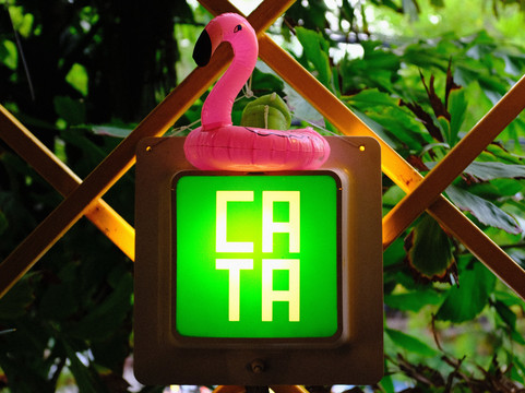 CATA  Agave Bar-塔马林多必去景点