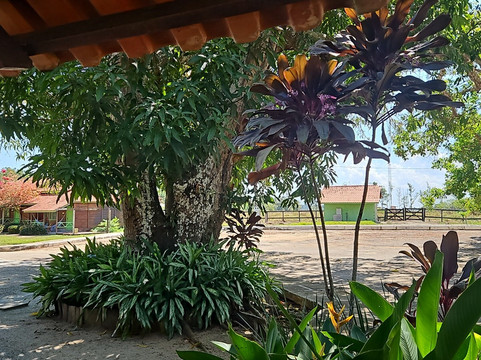 Tres Capelas Eco Resort主图