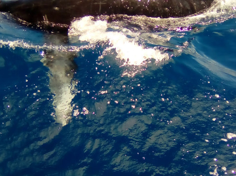 Escuna Deus Pode Mais-Itacare必去景点