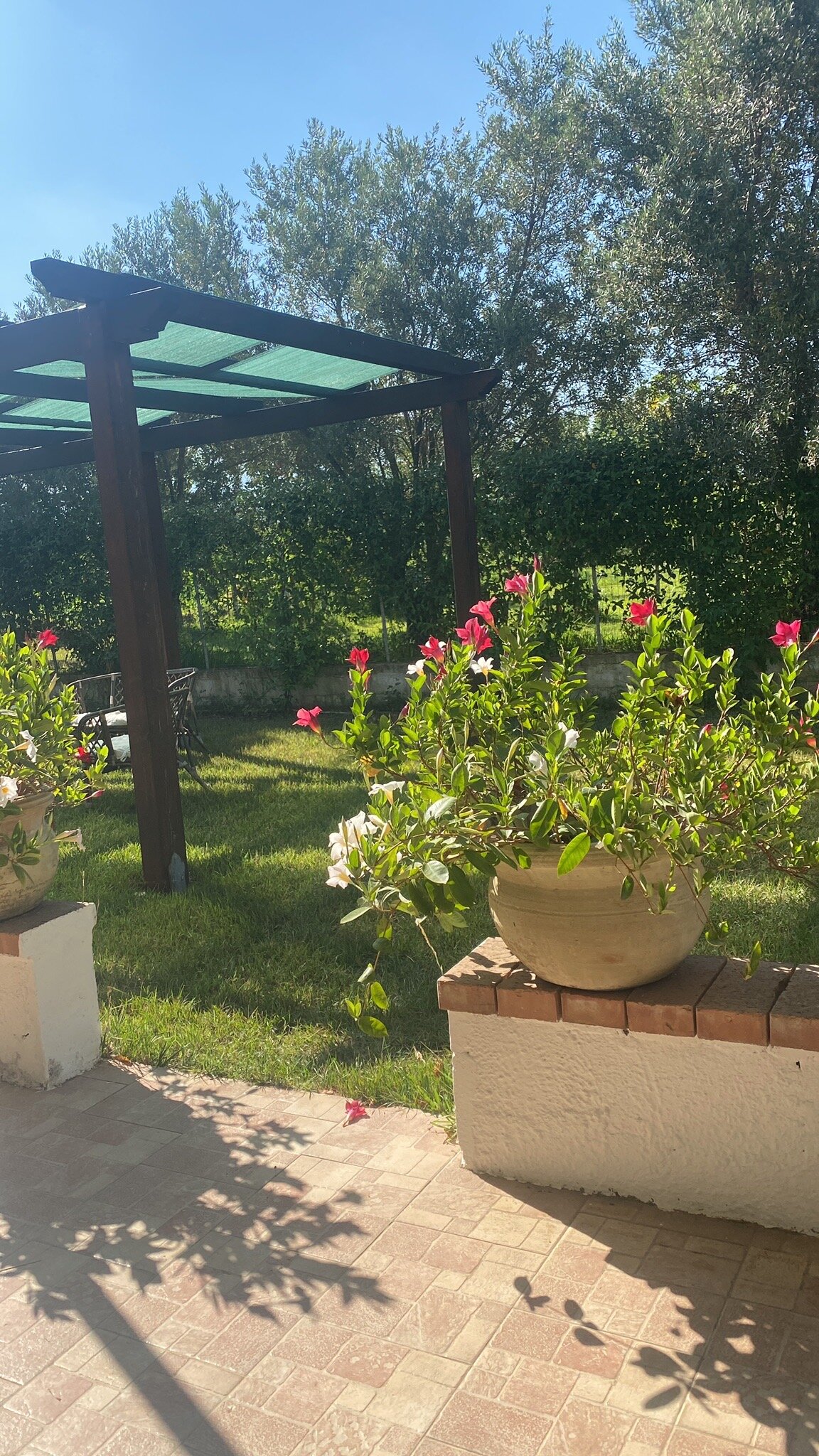 Villa Theresa-官方