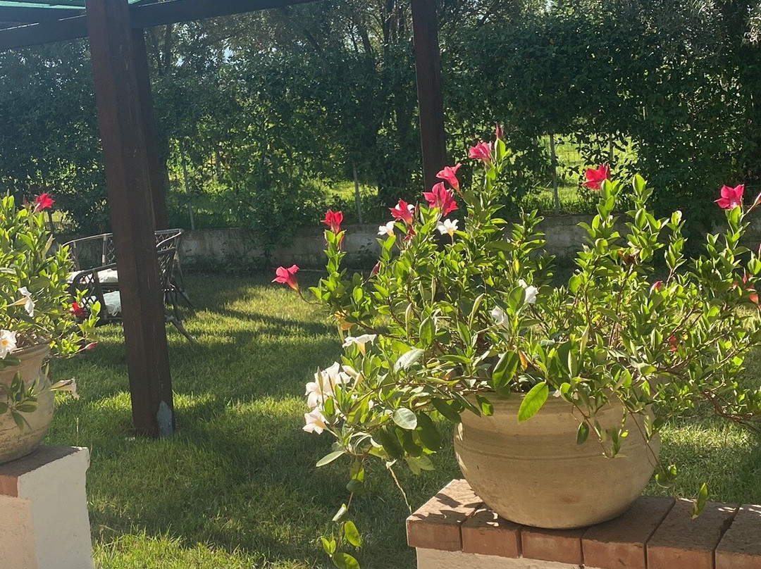 Rettifilo-vannullo酒店住宿-Villa Theresa