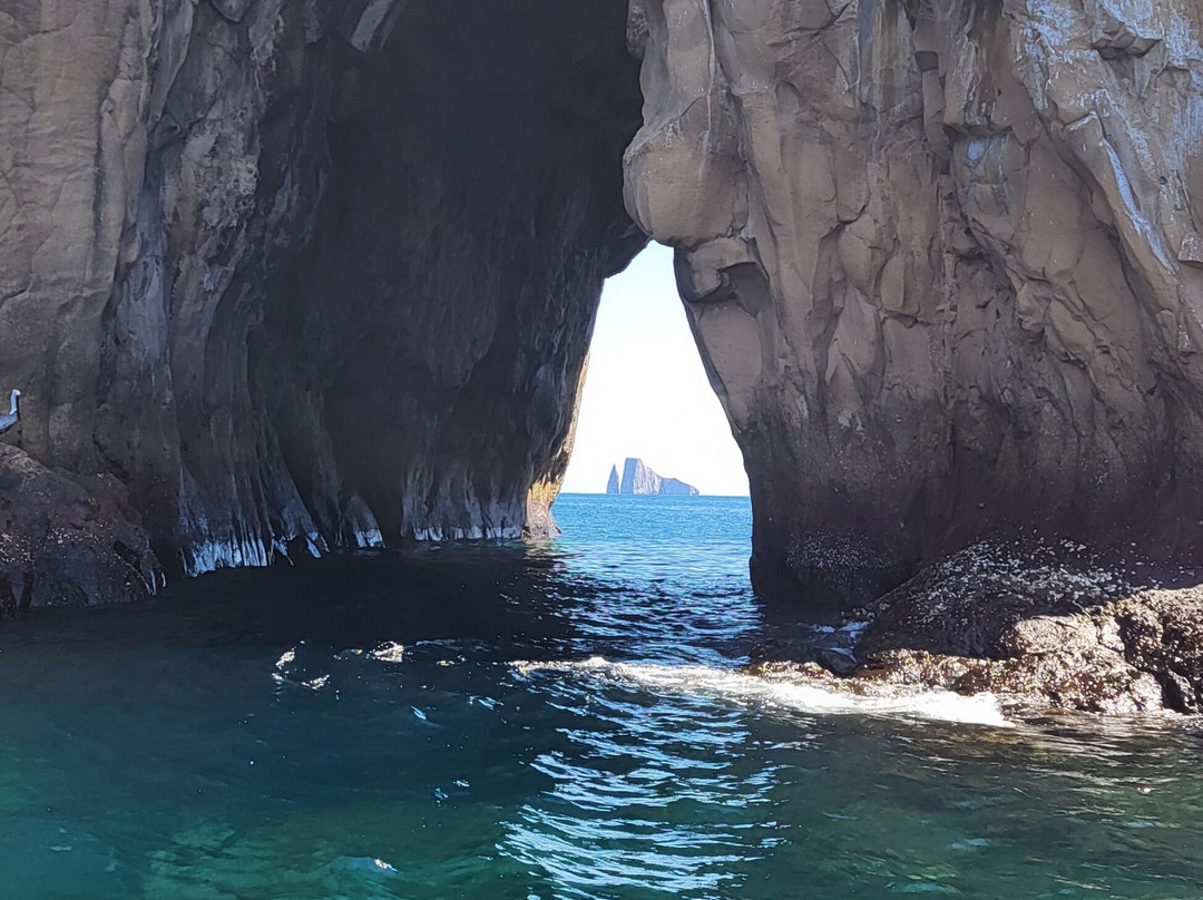 Galapagos Best Option-阿约拉港必去景点