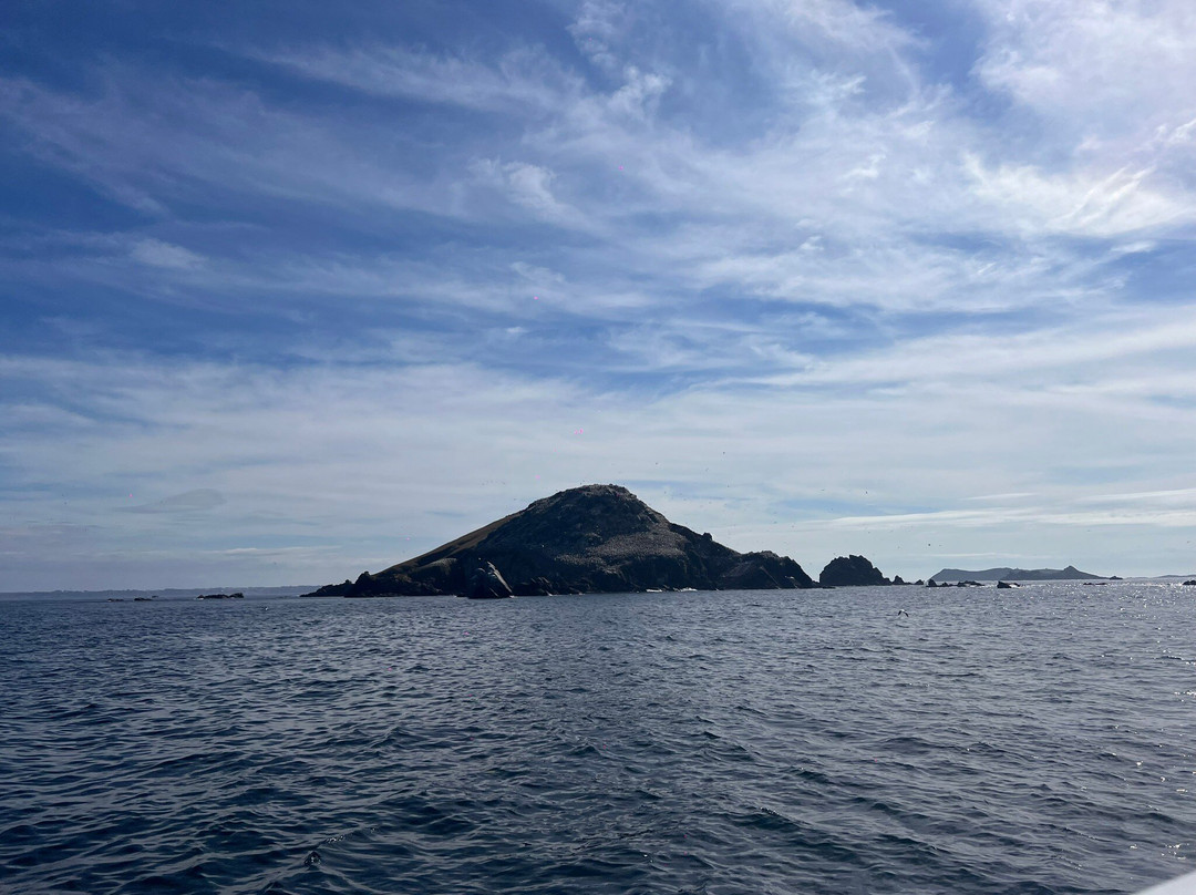 Réserve Naturelle des Sept Îles景点图片