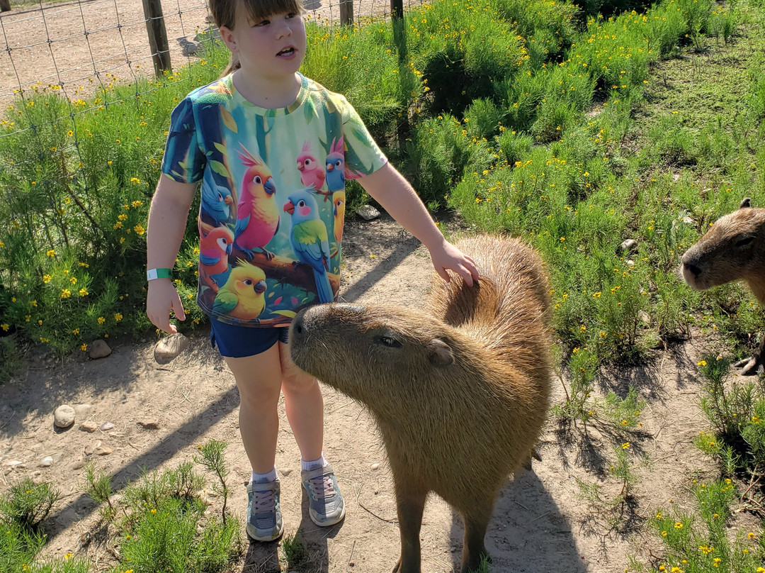 Aggieland Safari-布赖恩必去景点