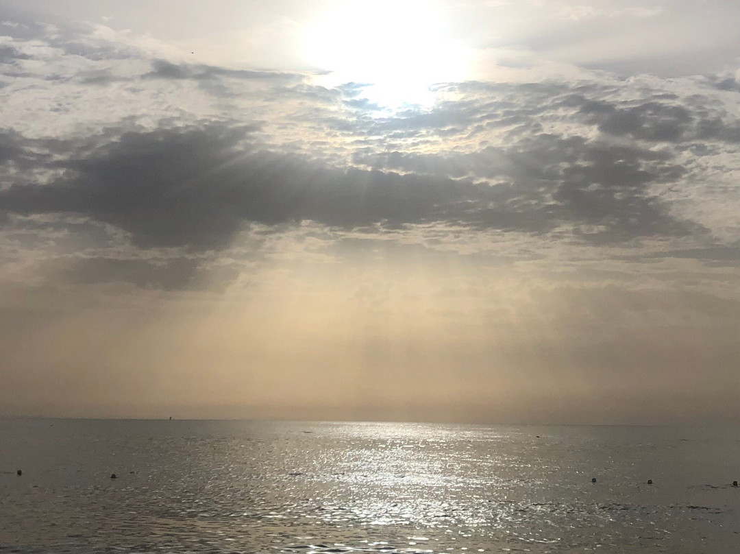 Spiaggia Marina di Pisciotta景点图片