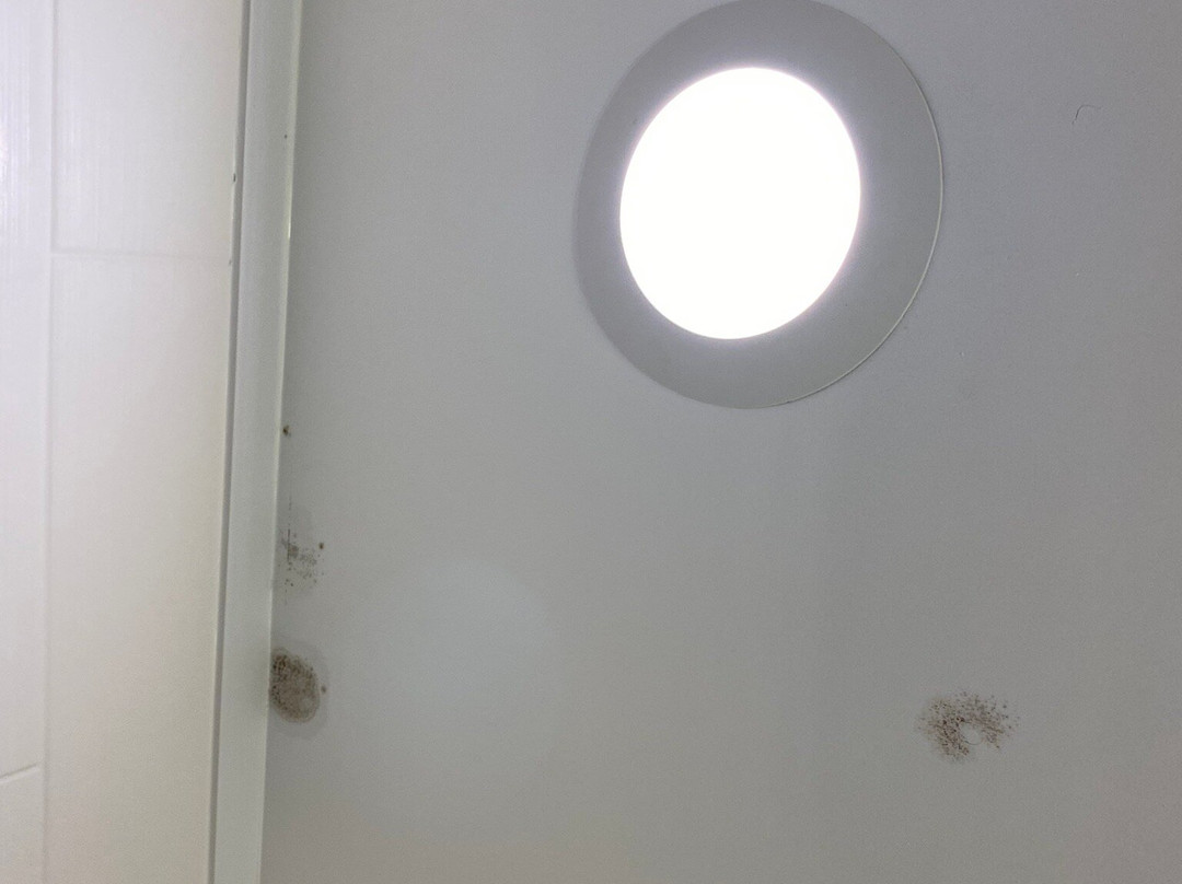 Holiday Inn Express & Suites Jasper By IHG主图