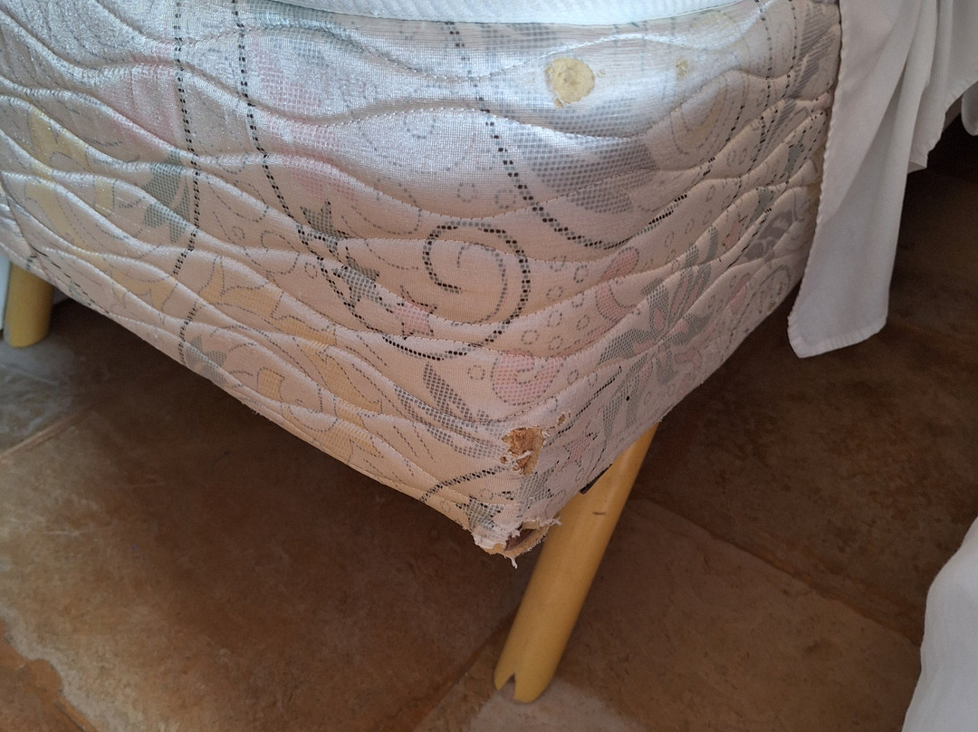 Villa Albergaria主图