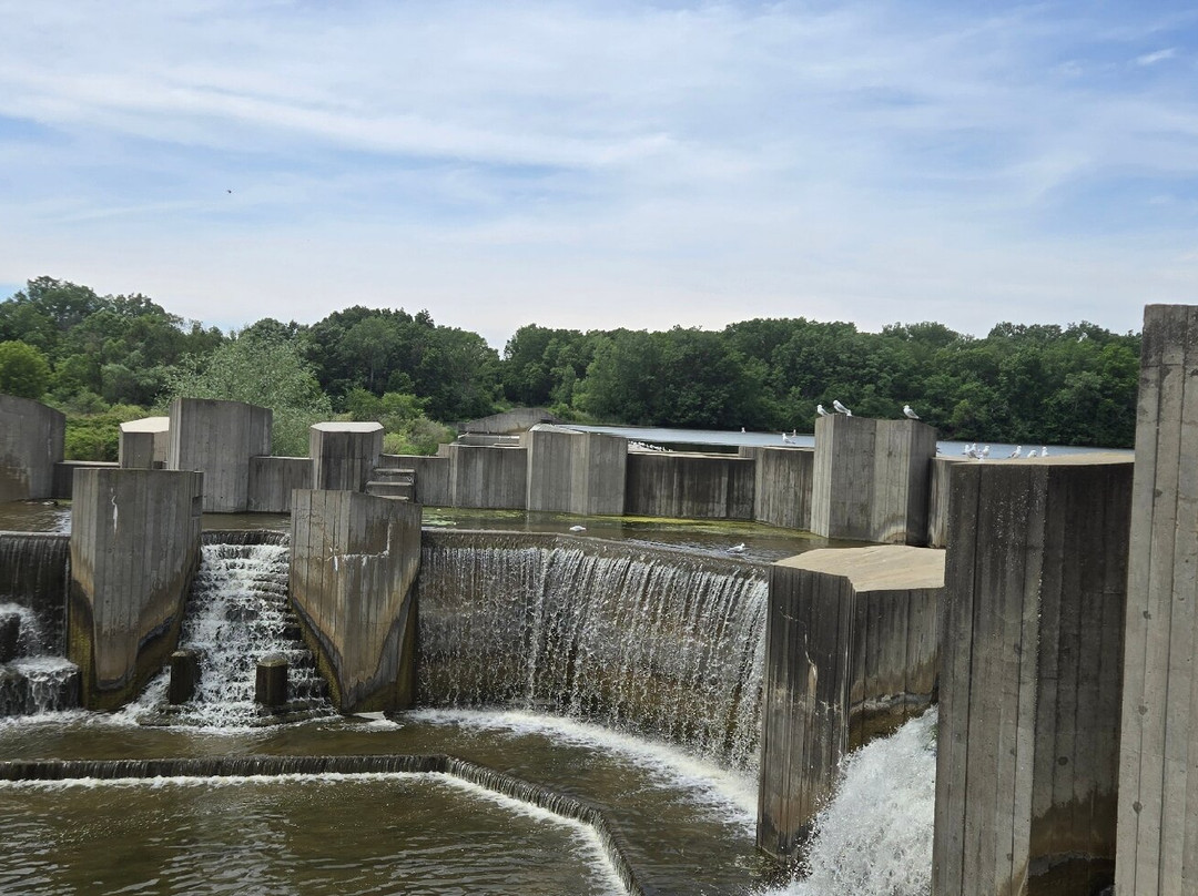 Stepping Stone Falls-弗林特必去景点