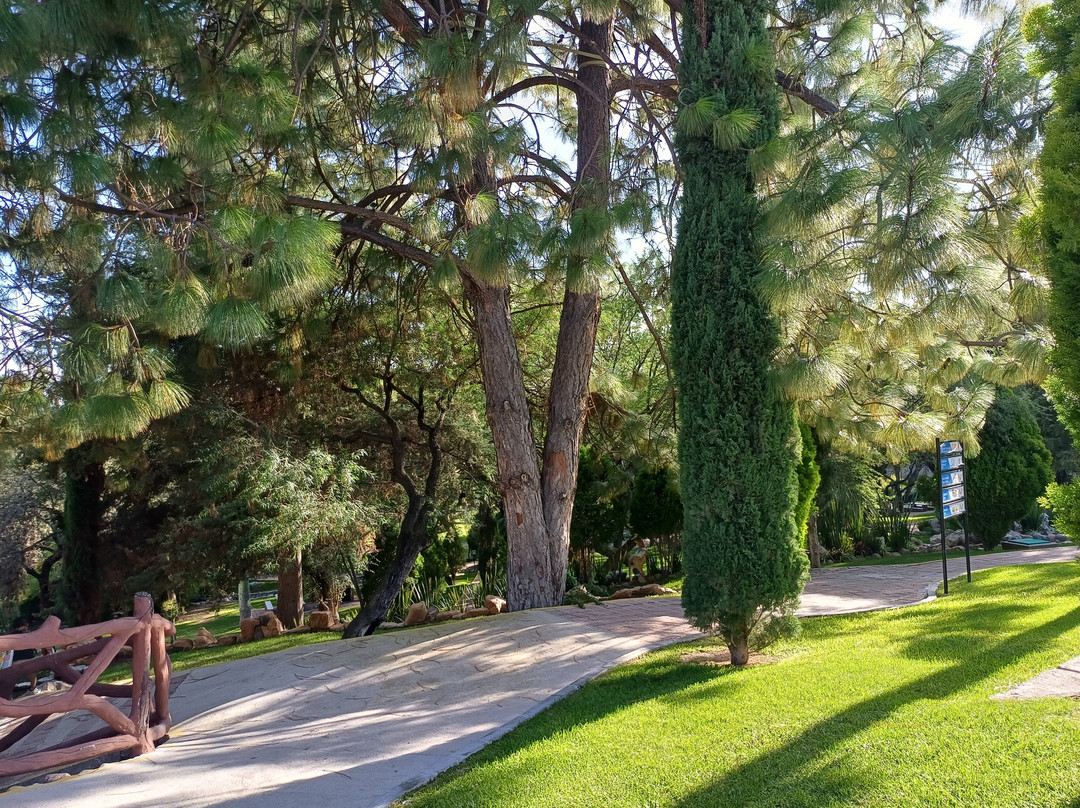 Xote Parque Acuatic景点图片
