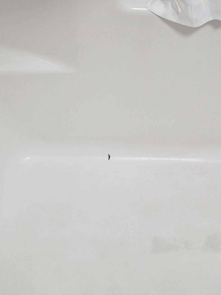 查塔努加皇家贝斯特韦斯特酒店-官方