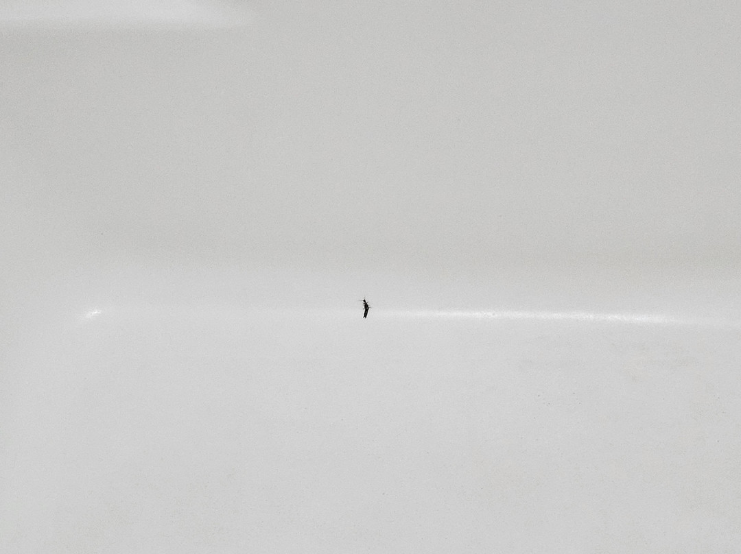 Best Western Royal Inn主图