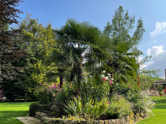 雷布斯托克酒店主图