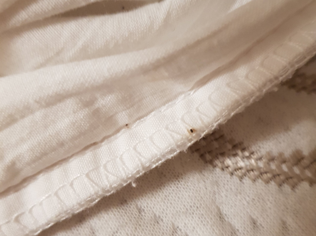 班夫阿斯彭旅馆主图