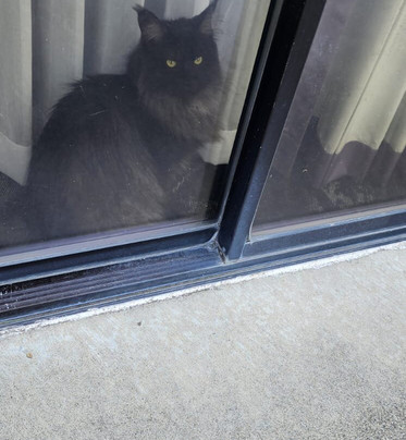 Centennial Hotel Spokane主图