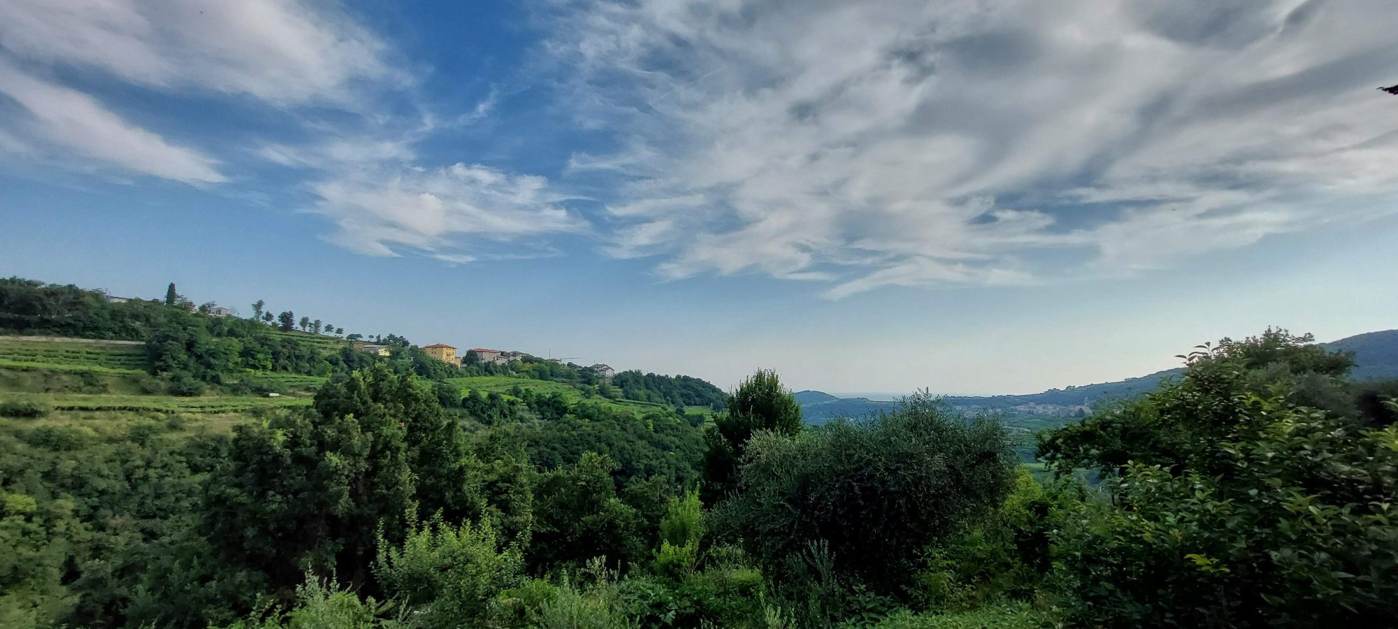 Antica Corte Panego-官方