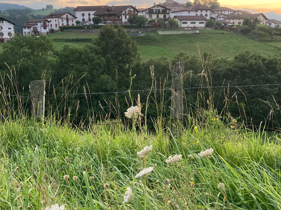 Posada De Ziga主图