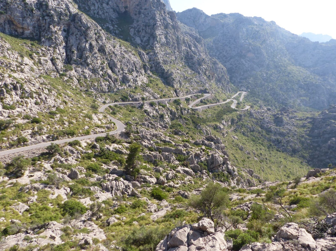 Beics Antur Bikes景点图片