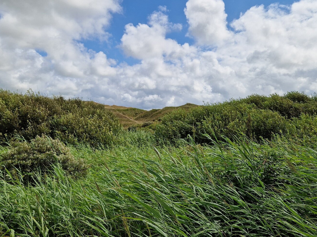 Nationaal Park Duinen van Texel景点图片